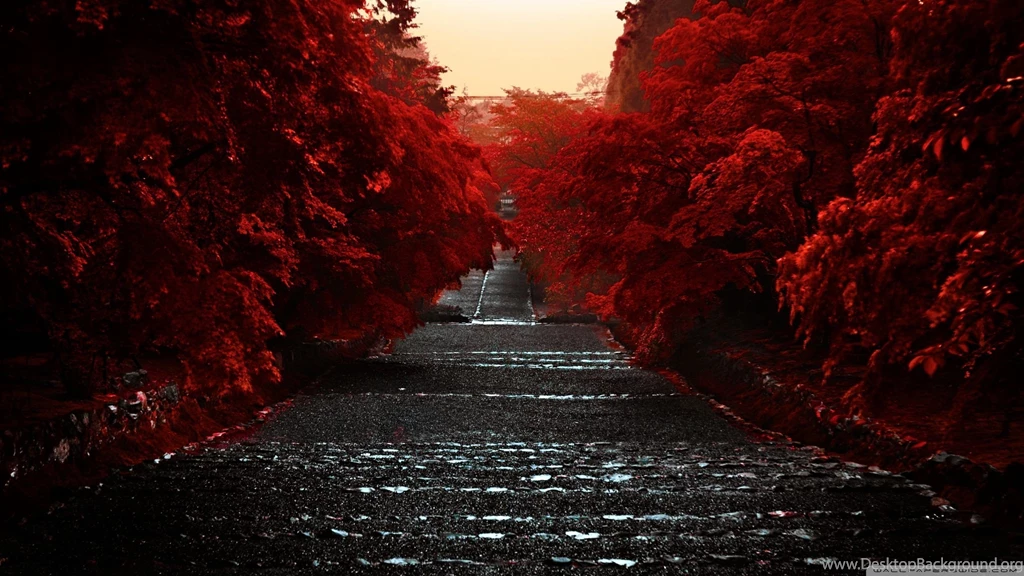 Autumn Honshu Island Japan Red Trees HD Wallpapers