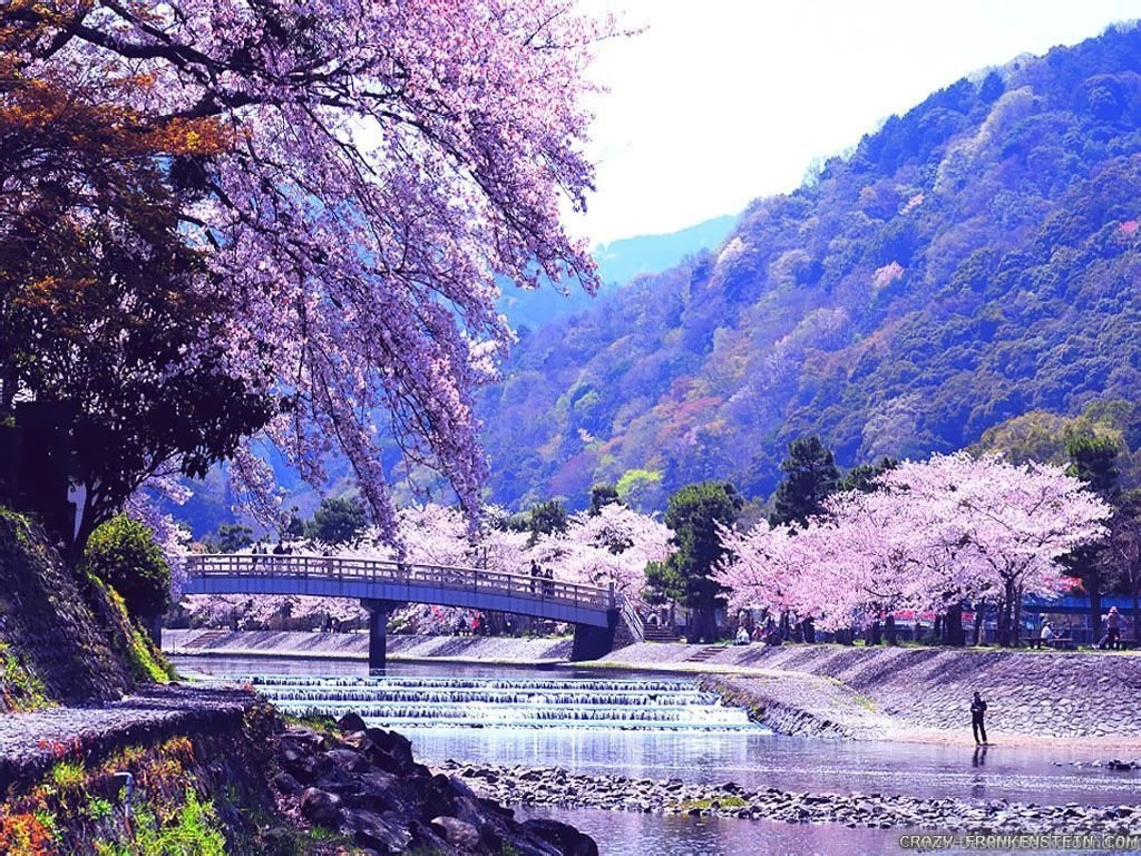 Japanese Nature Wallpapers
