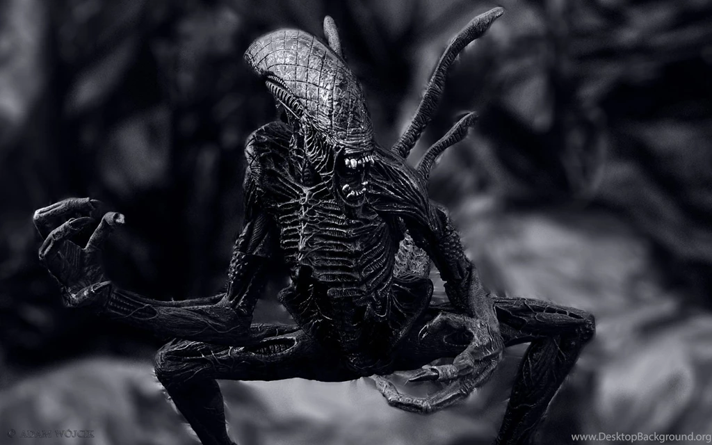 Top Alien Wallpapers 1920 Images For Pinterest