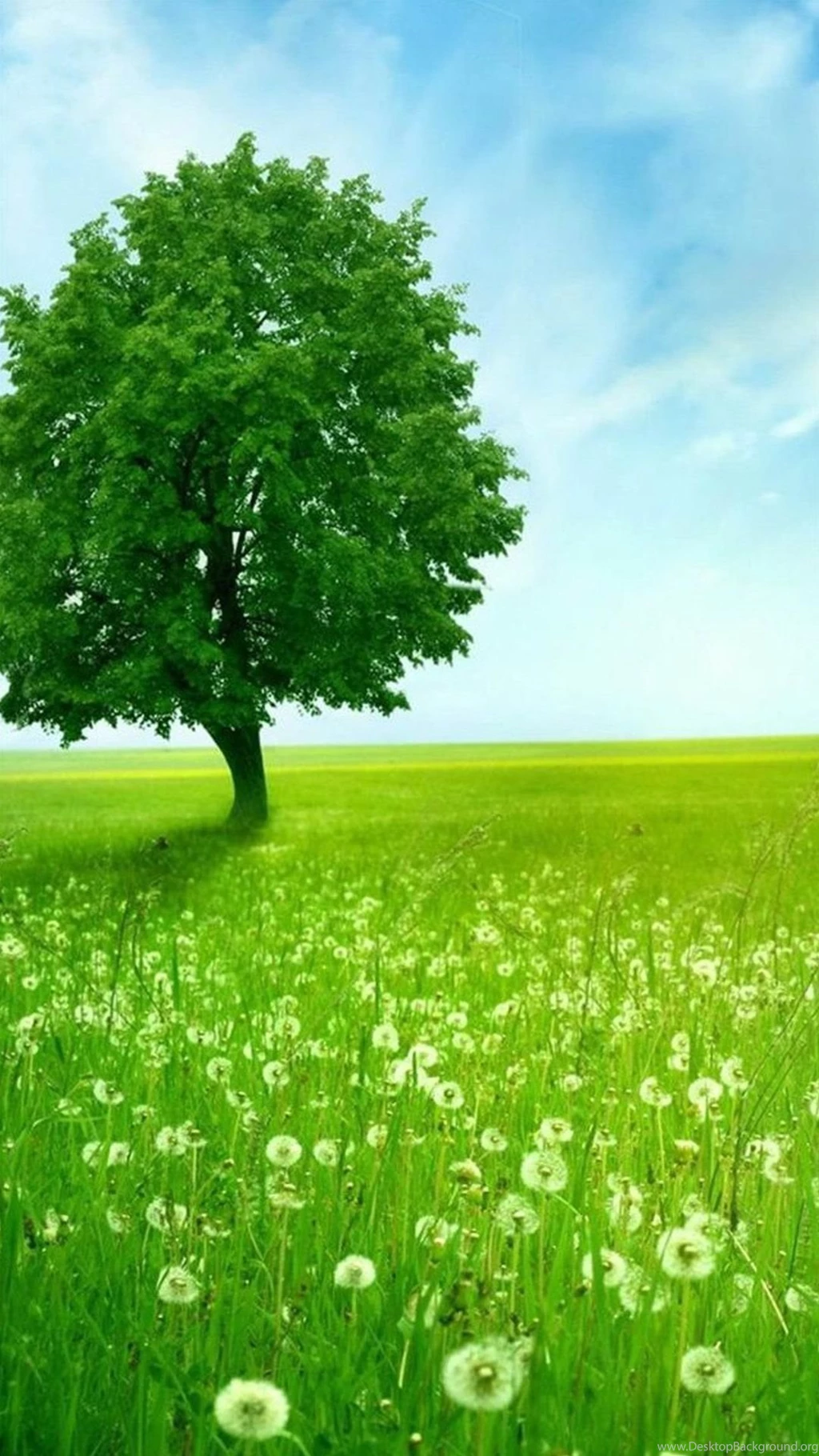 Bliss Hd Wallpapers For Mobile Samsung Galaxy S5 – HD WALLPAPER WIDE