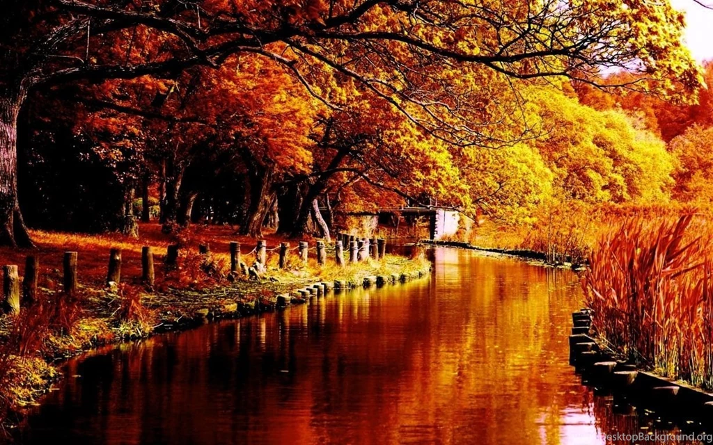 Fall Wallpapers Full
