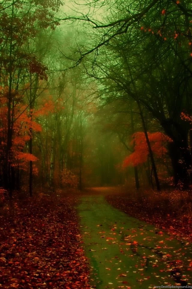 Autumn iPhone 4s Wallpapers