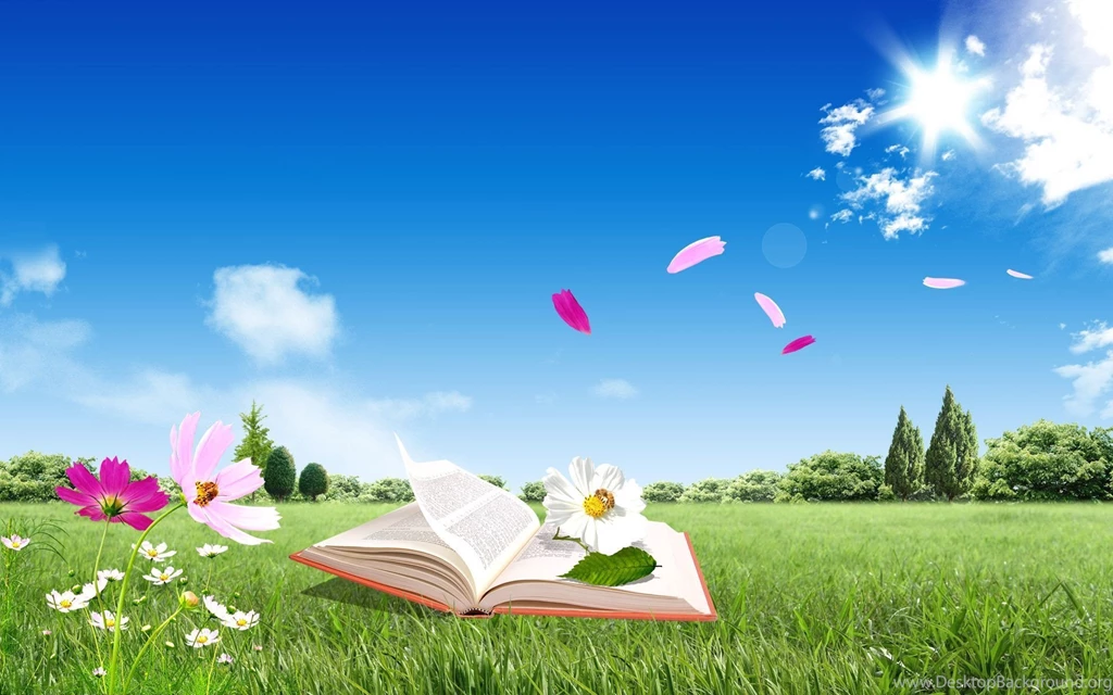 Summer Wallpapers Free