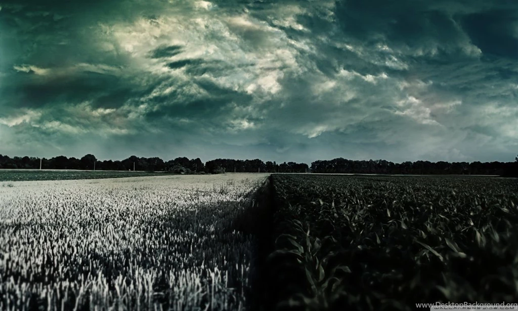 Feeling Lonely HD Desktop Wallpapers : Widescreen : High Definition ...