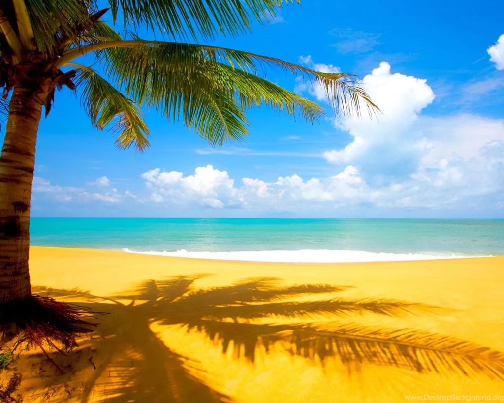 Gus Wallpaper: Summer Wallpapers For Desktop