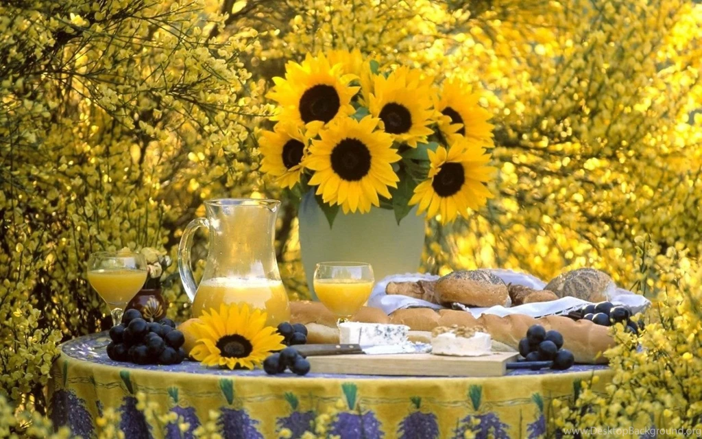 Top Summer Garden Desktop Wallpaper Images For Pinterest