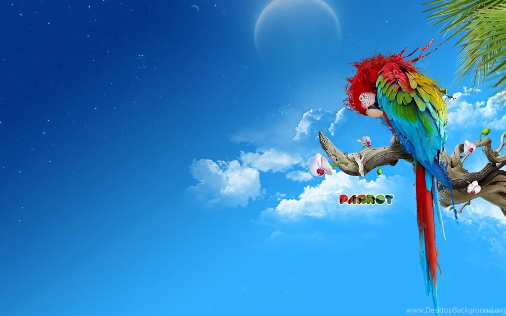 Wallpapers Wide 1
