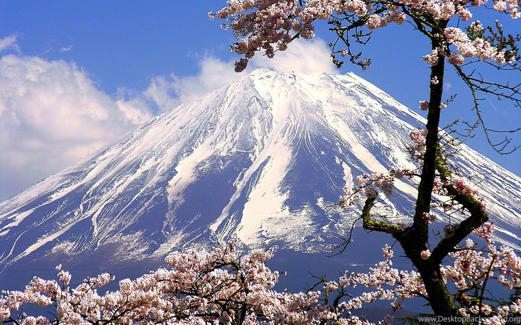 Japan Cherry Blossoms Flowers Spring Season Rivers Flowered Trees ...