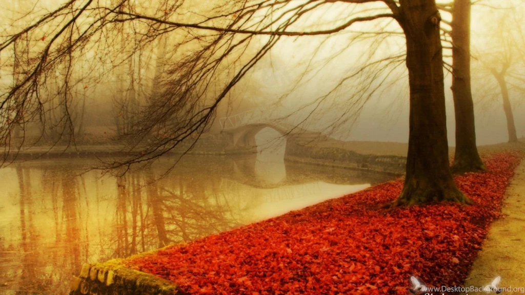 Red Tree HD Wallpaper, Red Tree Pictures, New Wallpapers