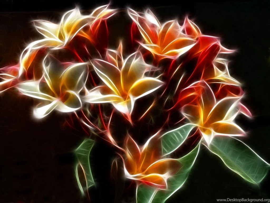 Glowing With Color Bright Colors Wallpapers (18999547) Fanpop