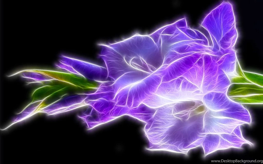 Glowing With Color Bright Colors Wallpapers (18999562) Fanpop