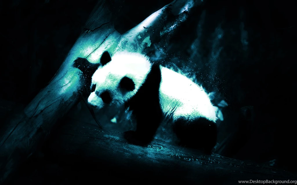 Abstract Artwork Blue Design Panda Bears Best Widescreen