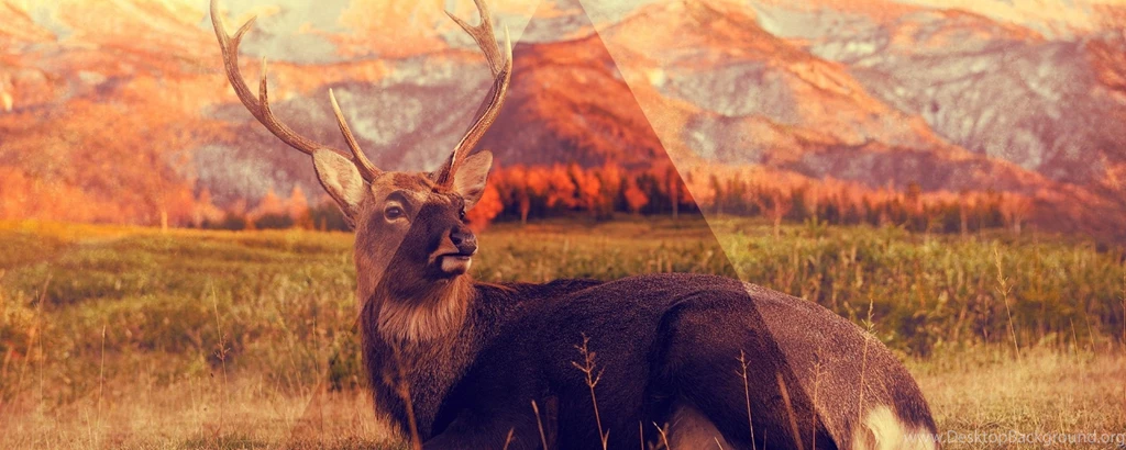 Download Wallpapers 2560x1024 Deer, Mountains, Lying, Grass ...