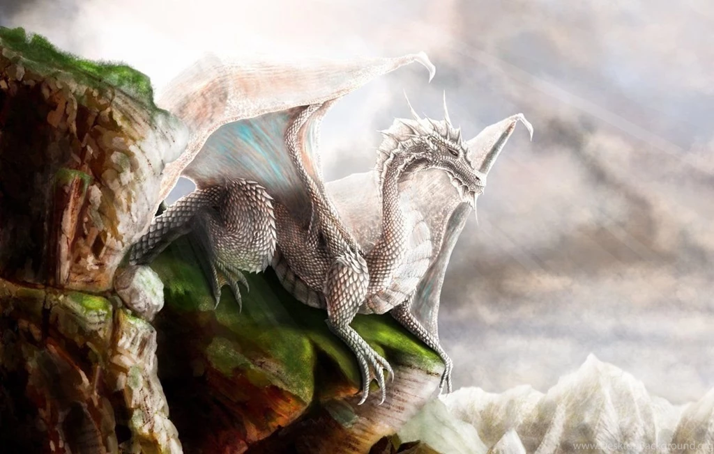 White Dragon Pictures HD Wallpapers Pretty