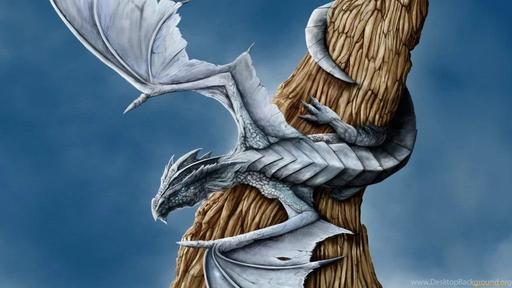 White Dragon Wallpapers By Deaload On DeviantArt