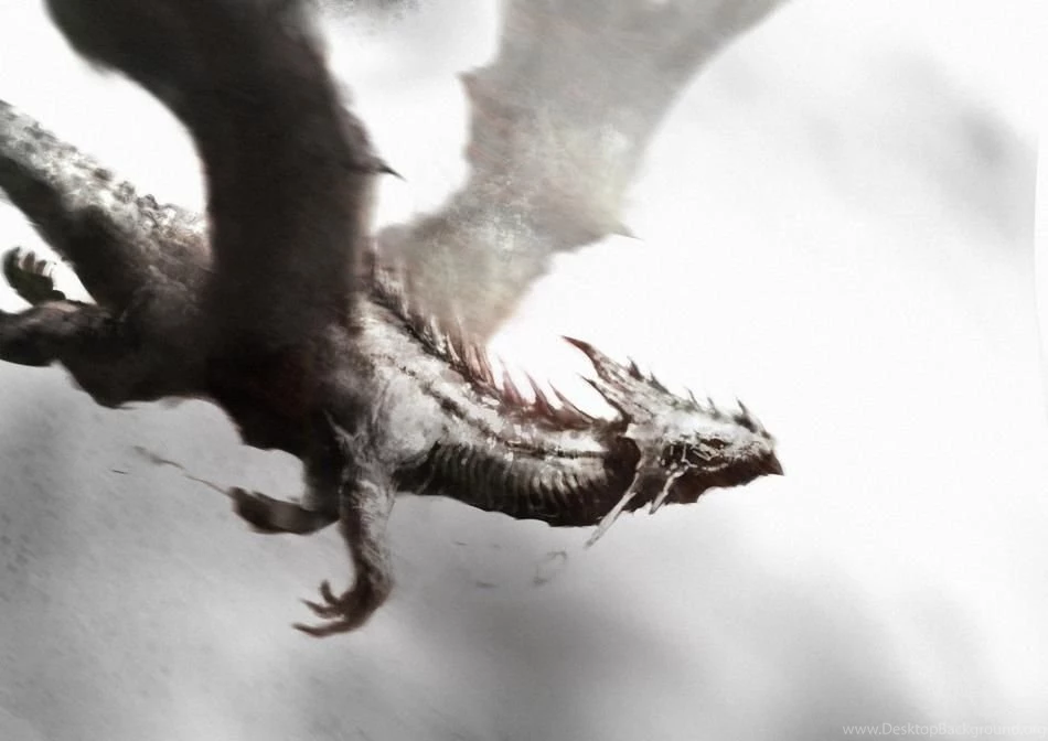 White Dragon 2 Hd Wallpapers Hivewallpaper.com