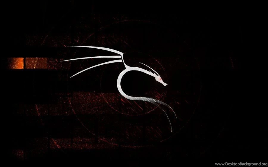 White Dragon Wallpapers By Arzeo93 On DeviantArt