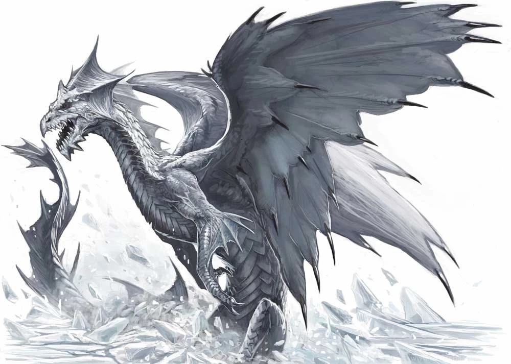 White Dragon 32 Hd Wallpapers Hivewallpaper.com