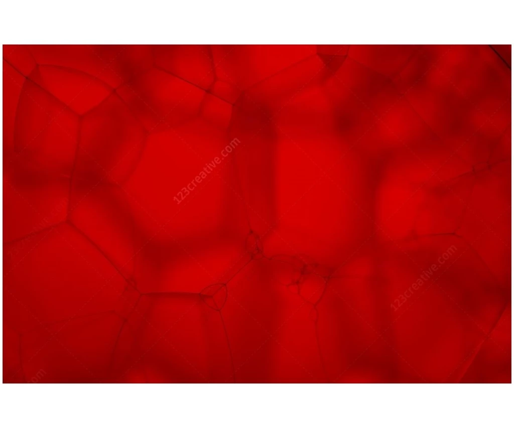 Abstract Bubble Backgrounds Pack Soap Bubble Backgrounds, Oil ...