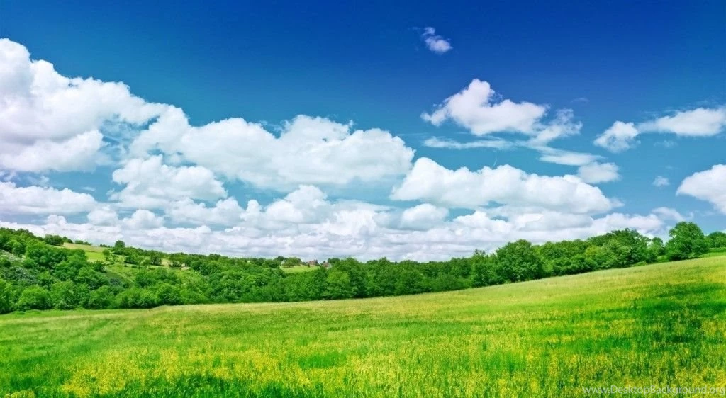 Relaxing Wallpapers