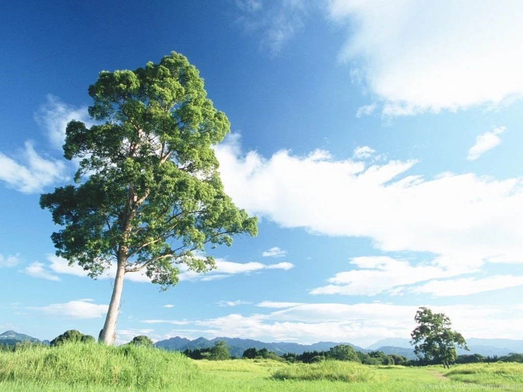 People In Nature Relaxing In Nature 1024x768 NO.32 Desktop ...