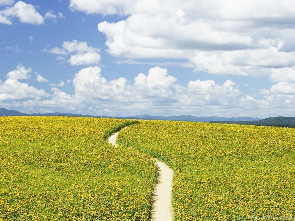 People In Nature Relaxing In Nature 1024x768 NO.2 Desktop ...