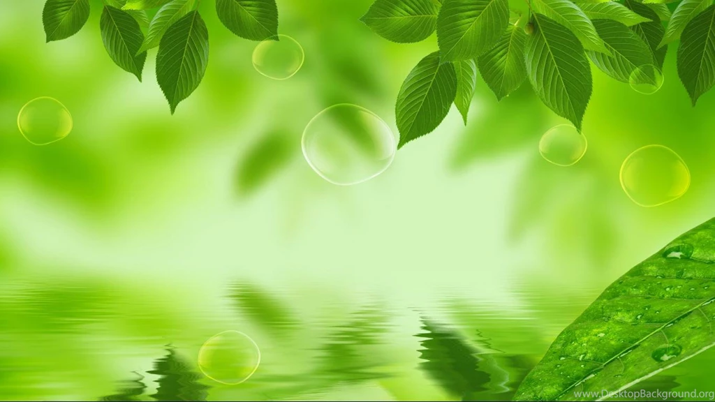 Natural Green Wallpapers   All Wallpapers New