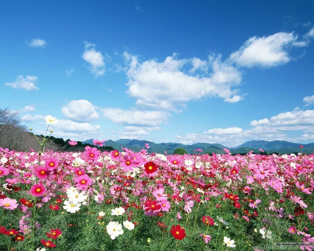 People In Nature Relaxing In Nature 1280x1024 NO.25 Desktop ...