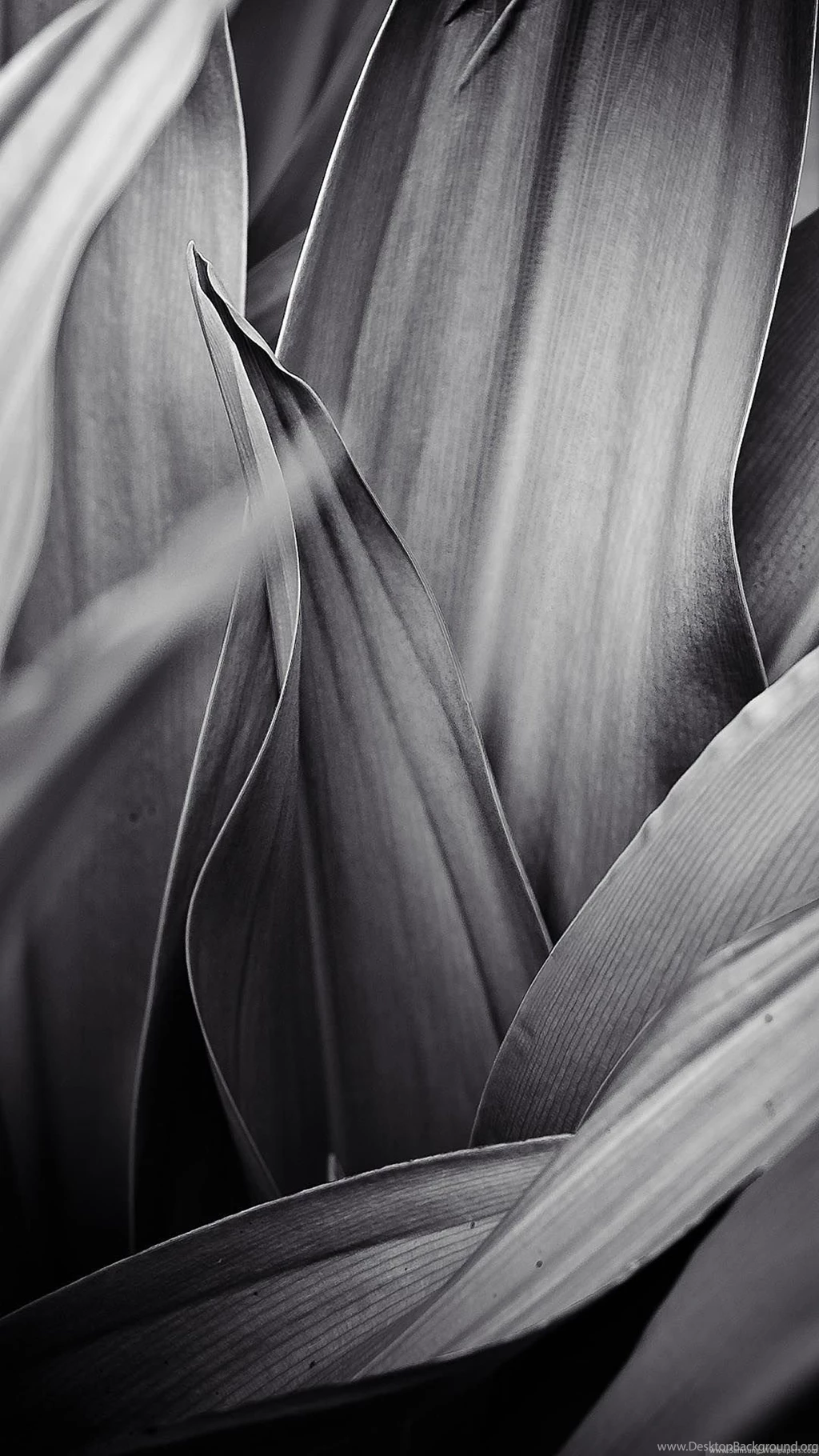 1080x1920   Samsung Wallpapers