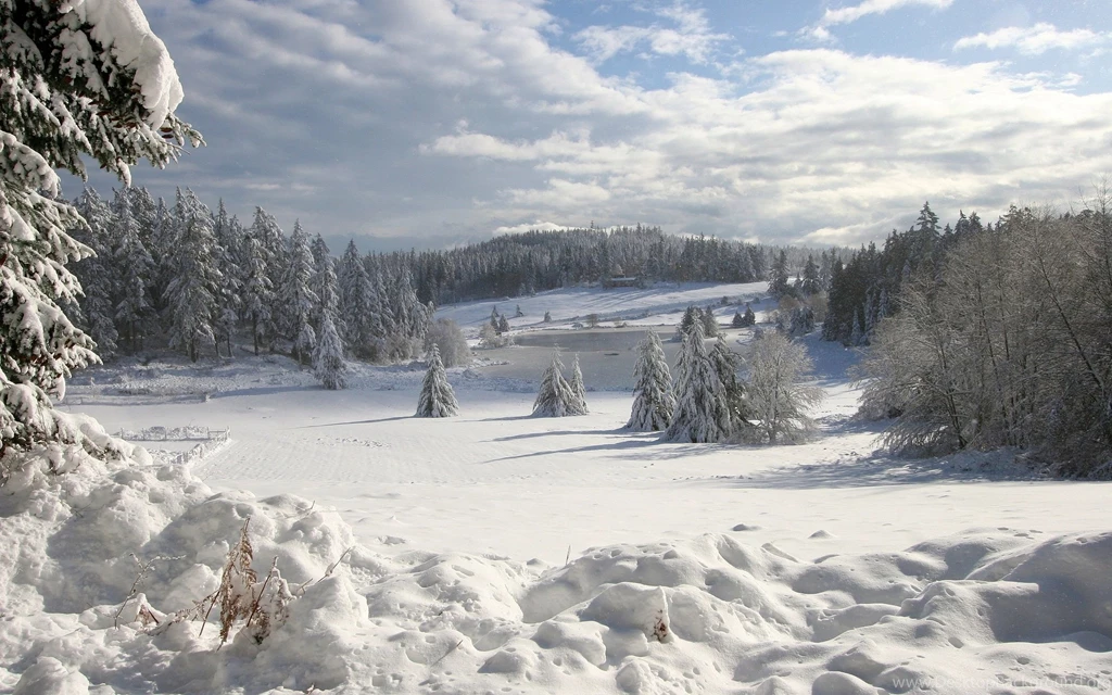 Winter Snow Wallpapers