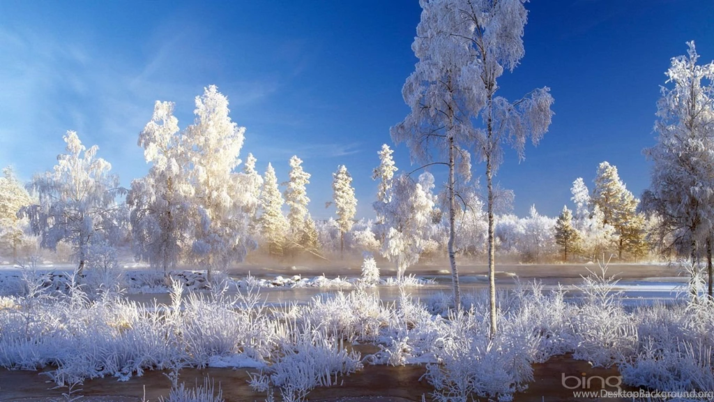 Download 1366x768 Bing Winter Landscape Wallpapers