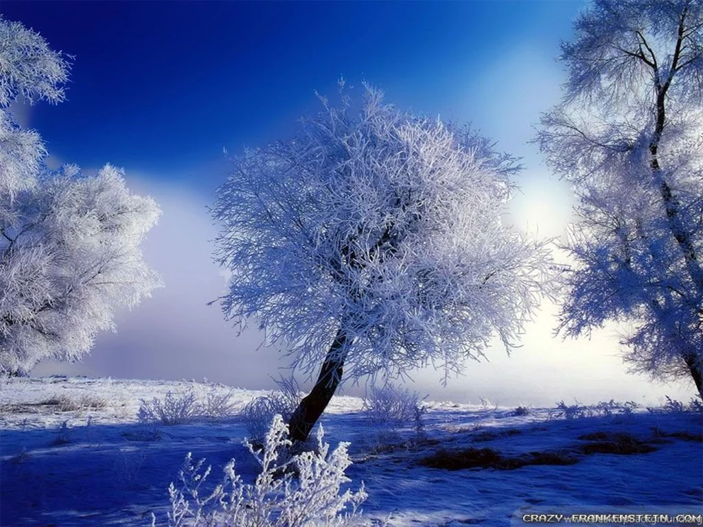 Winter Landscape Wallpapers   Crazy Frankenstein