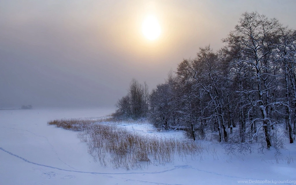 1920x1200 Winter Landscape Desktop PC And Mac Wallpapers