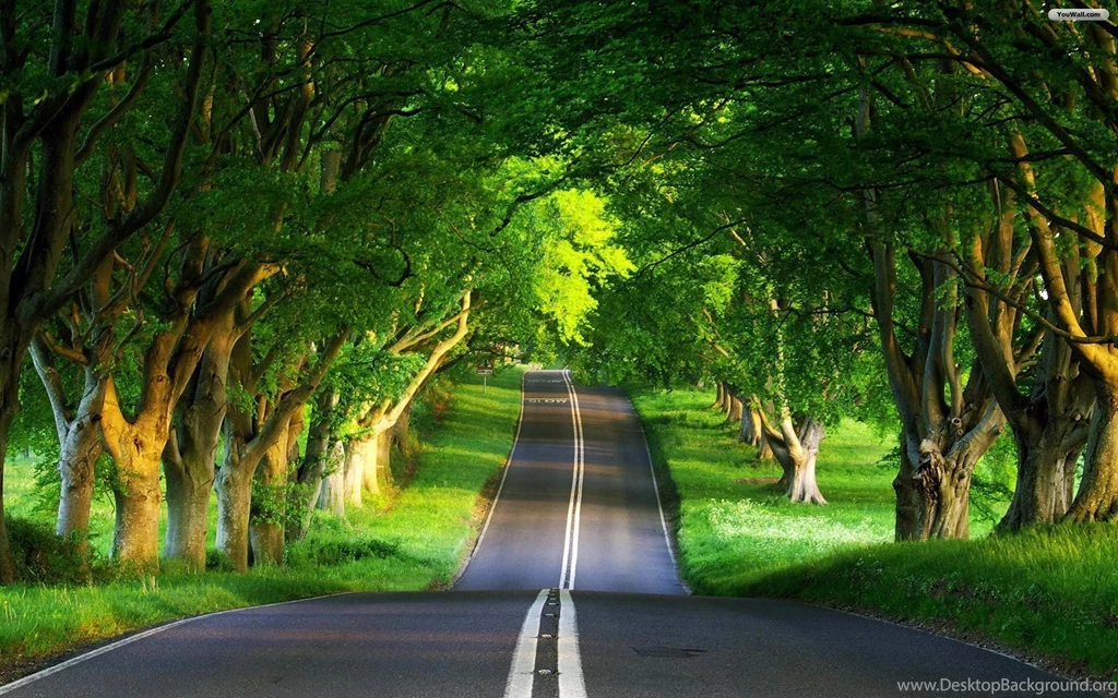 YouWall Green Road Wallpapers Wallpaper,wallpapers,free ...