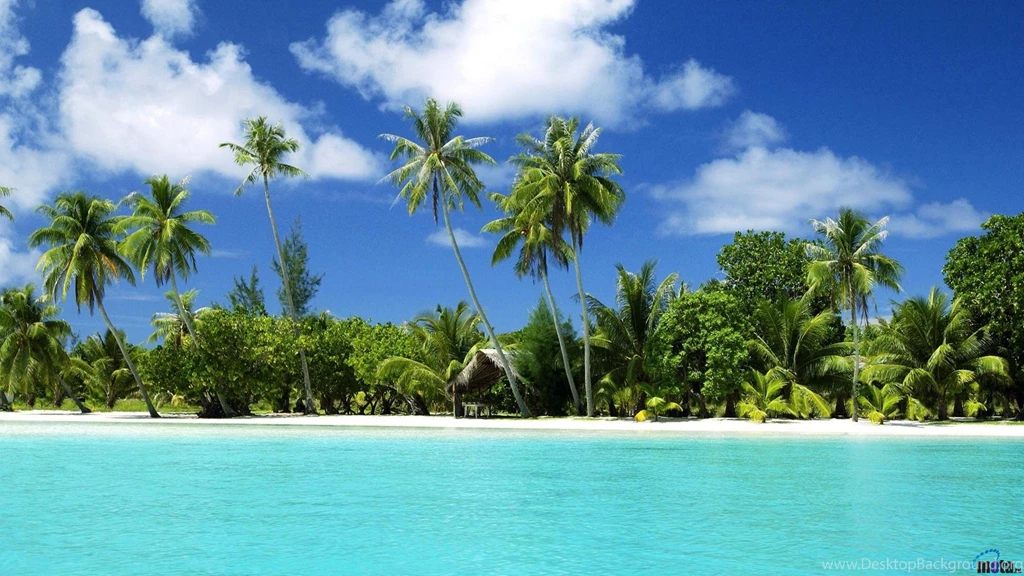 Download Wallpapers Paradise Beach In The Tropics (1920 X 1080 HDTV ...