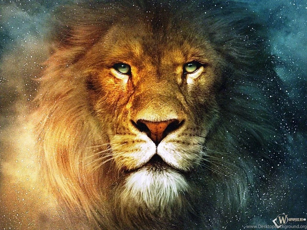 Lion Face Wallpapers