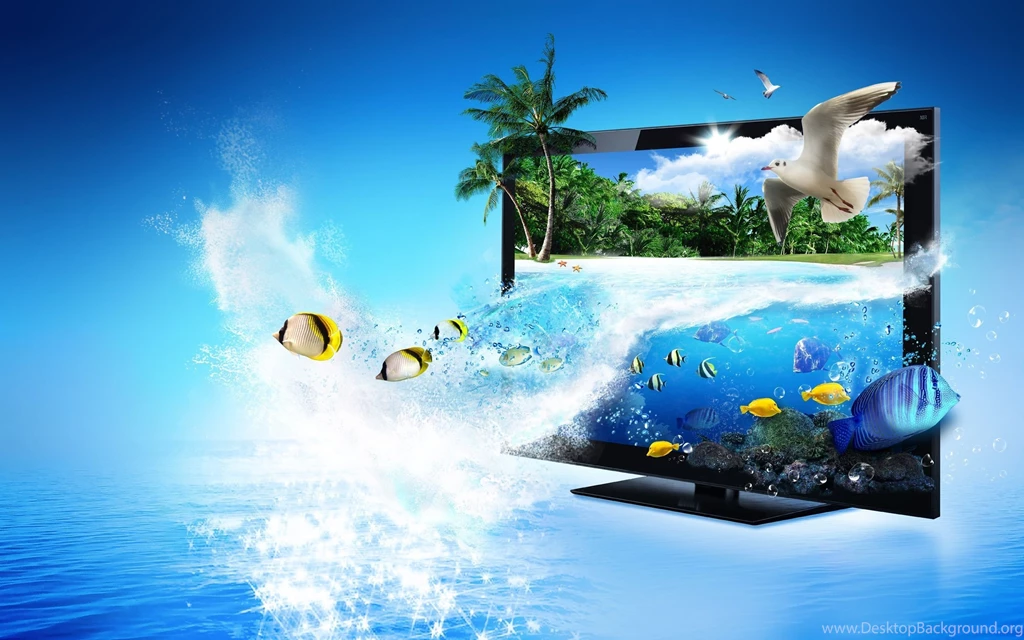 3D TV In Fish And Birds