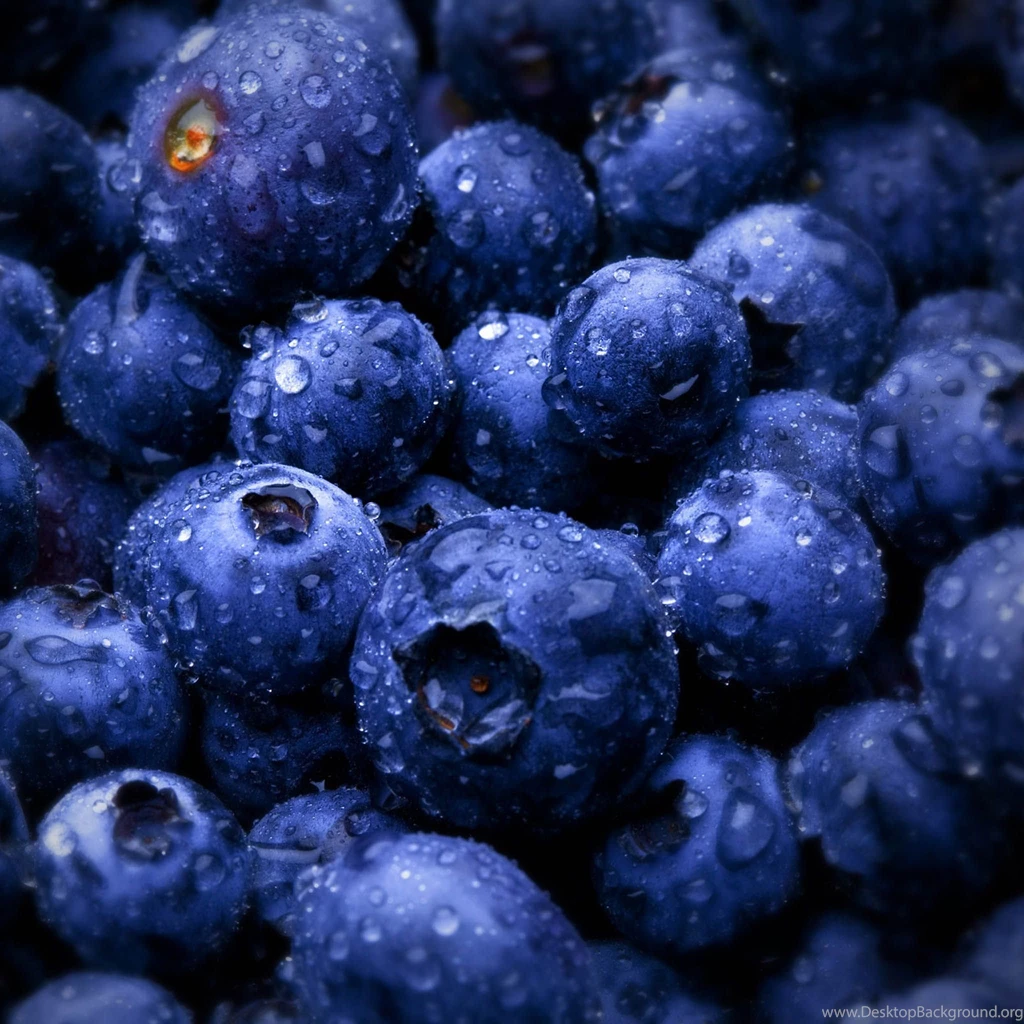 Purple iPad Wallpapers