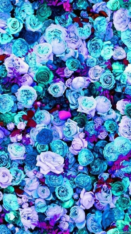 Wallpaper Backgrounds On Pinterest