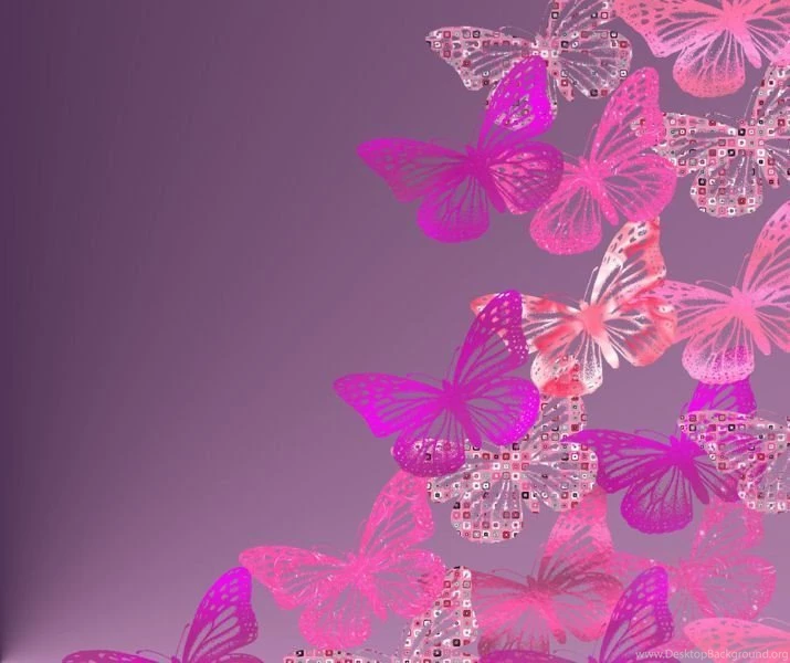 Butterflies On Pinterest