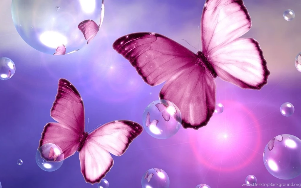 Butterfly Sweet Wallpapers JattDiSite.com