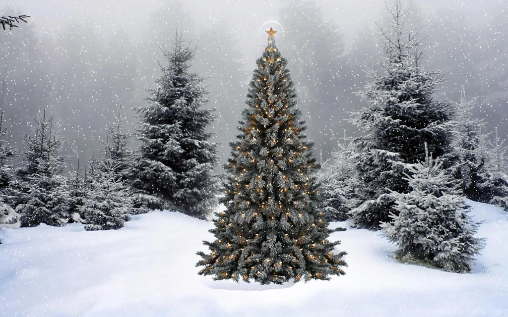 Winter Christmas Wallpapers For Iphone