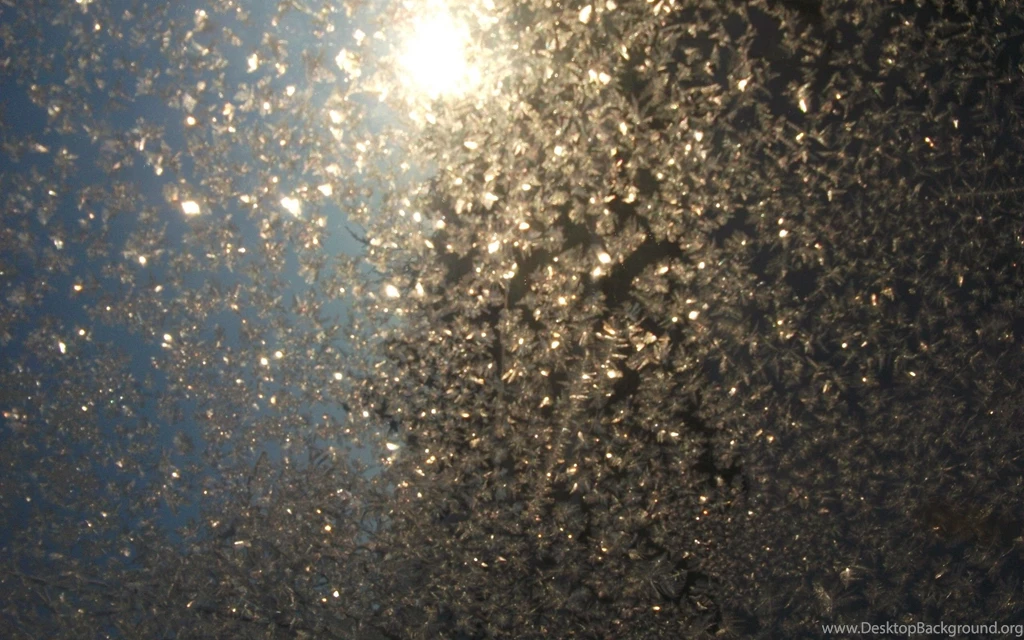 2560x1600 Frosted Glass Desktop PC And Mac Wallpapers