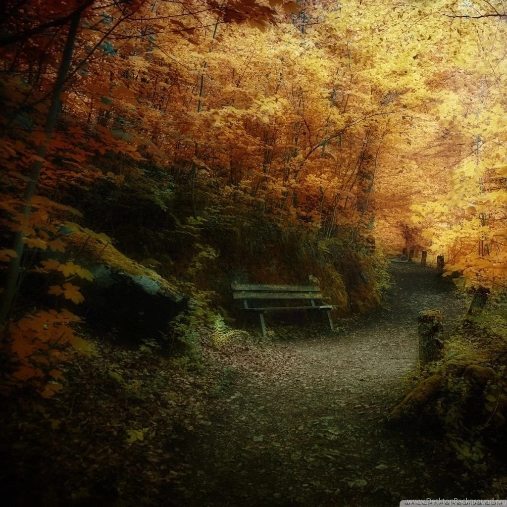 Fall HD Desktop Wallpapers : Widescreen : High Definition ...