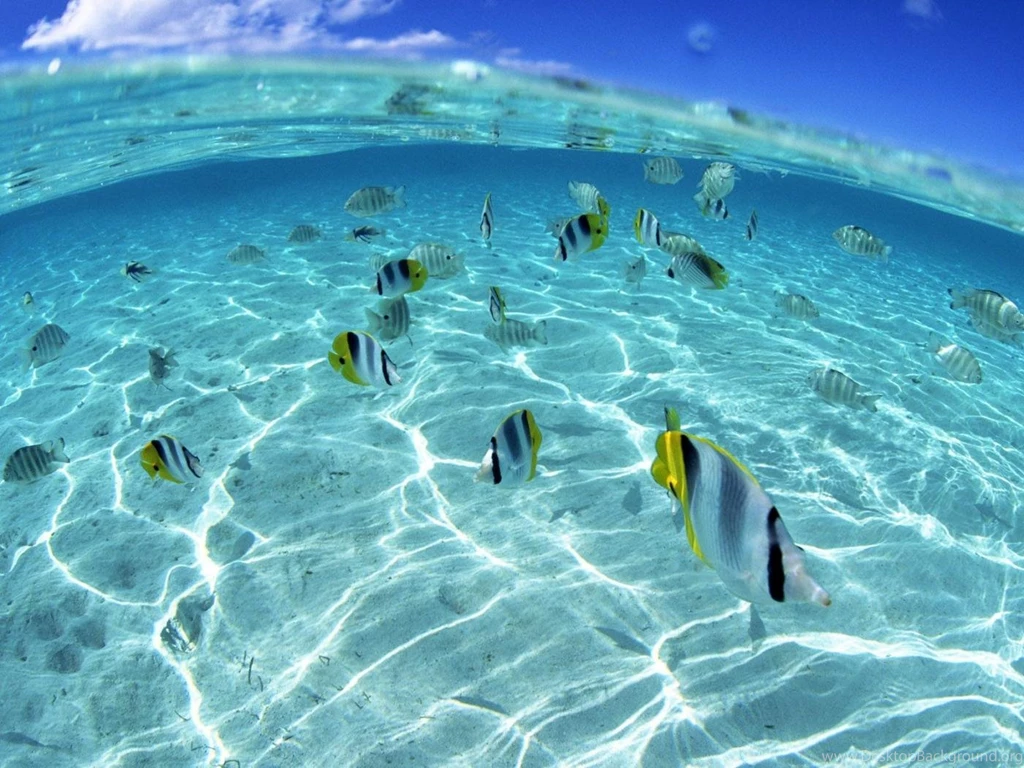 Underwater Ocean Hi Res Wallpapers