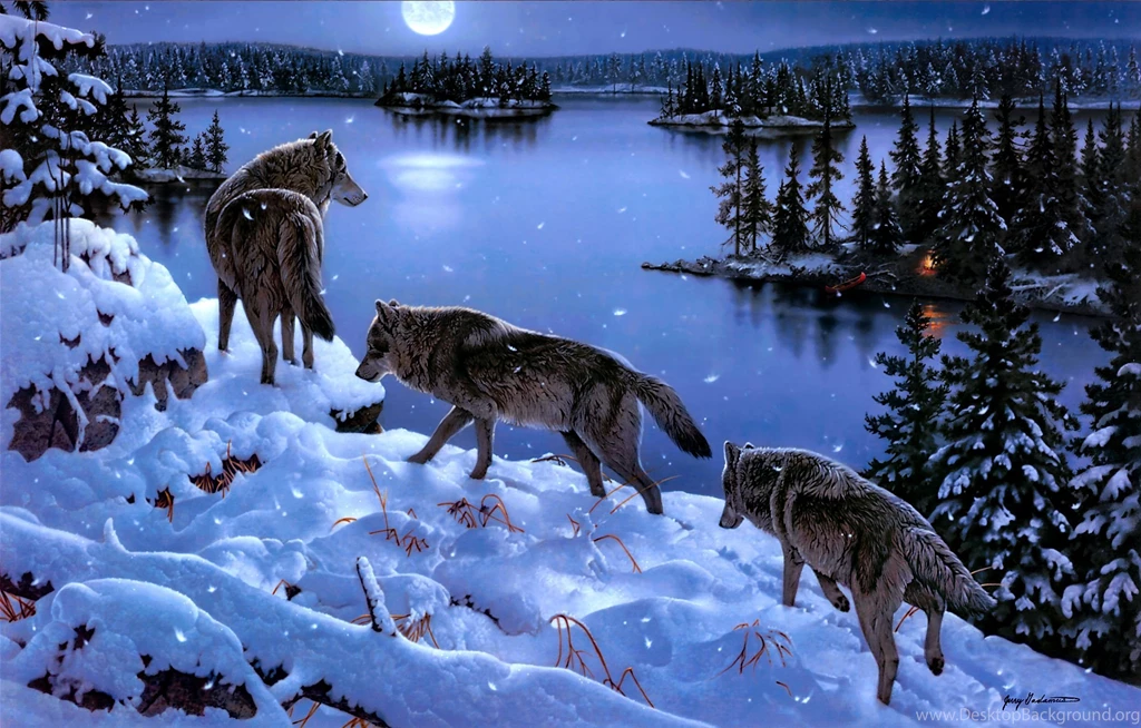 Winter HD Wallpapers