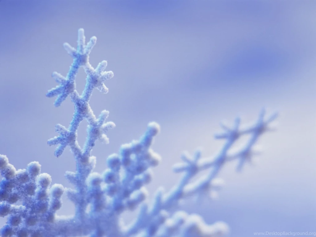 Winter Wallpapers Free Download
