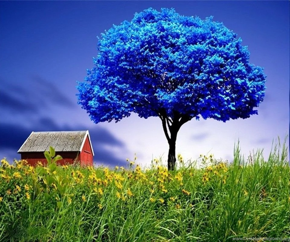 New Mobile Wallpapers HD Wallpapers Lovely