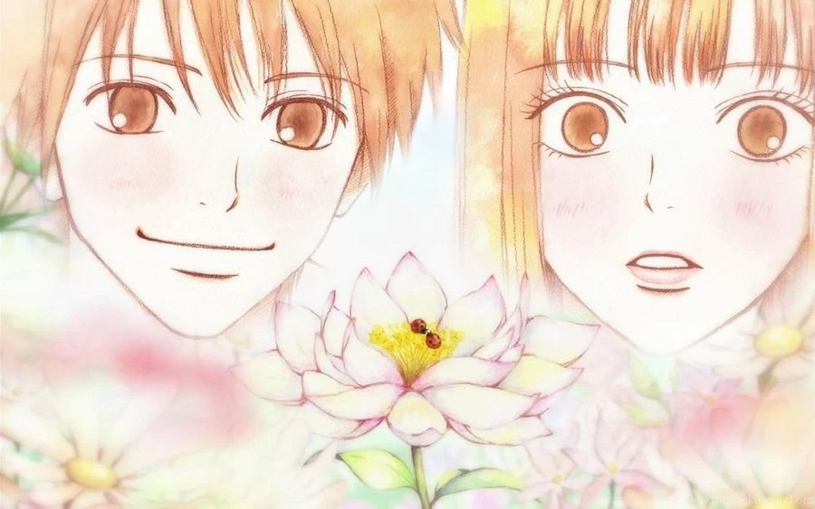 Kimi Ni Todoke Favourites By Sweetiehanah On DeviantArt