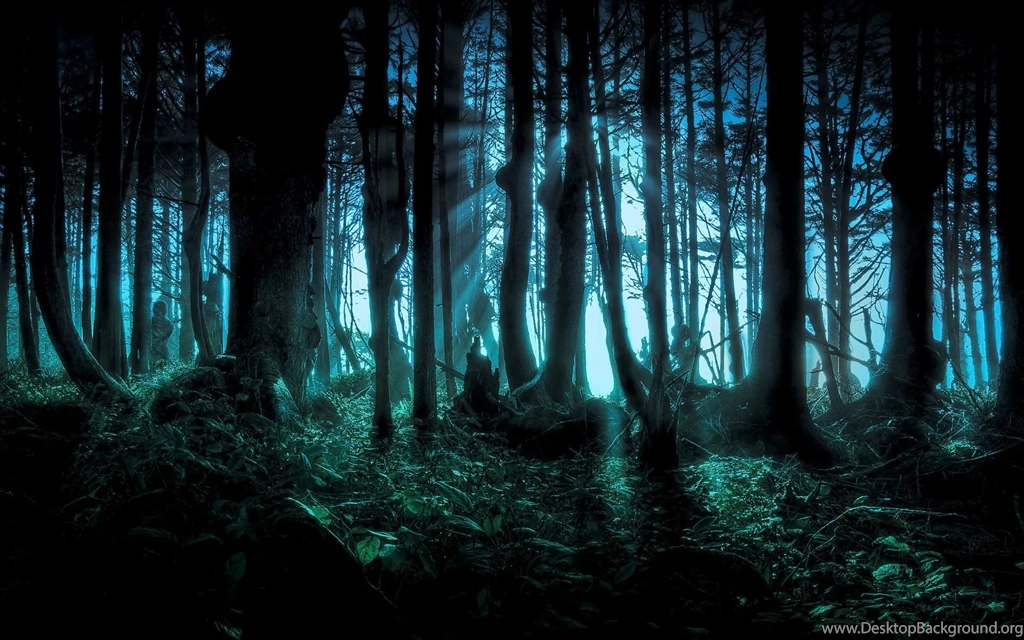 Forest Wallpaper Backgrounds